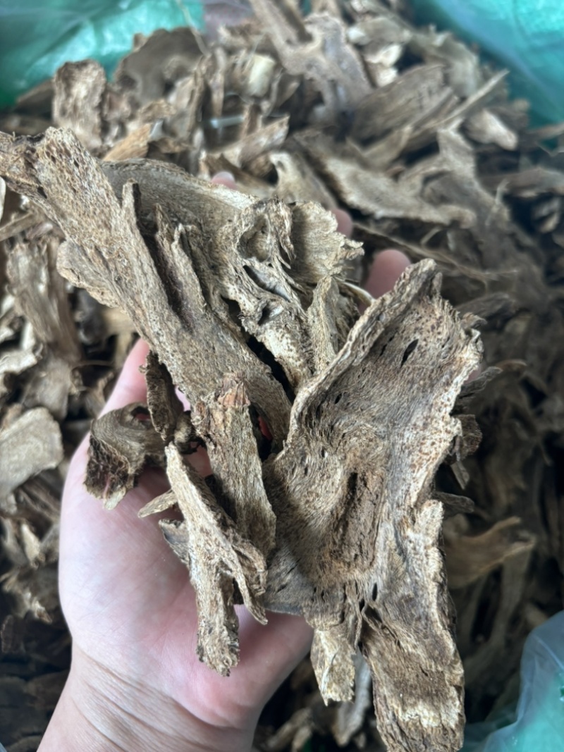 无硫木香片，足干，片大