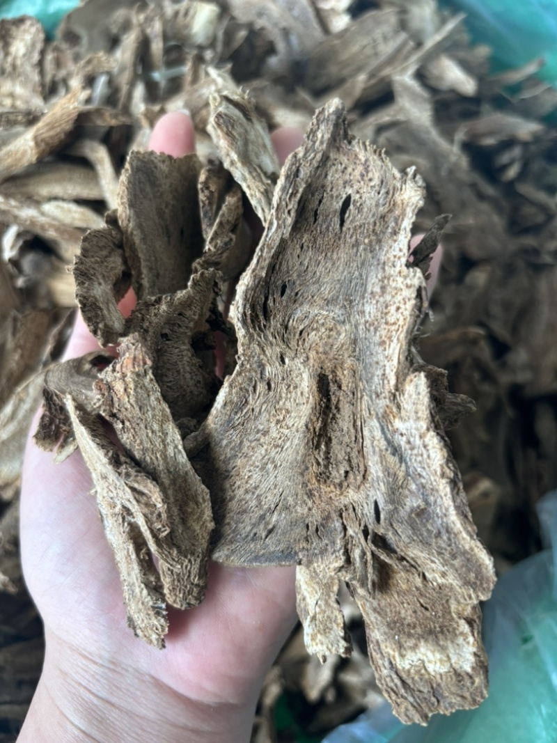 无硫木香片，足干，片大