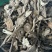 无硫木香片，足干，片大