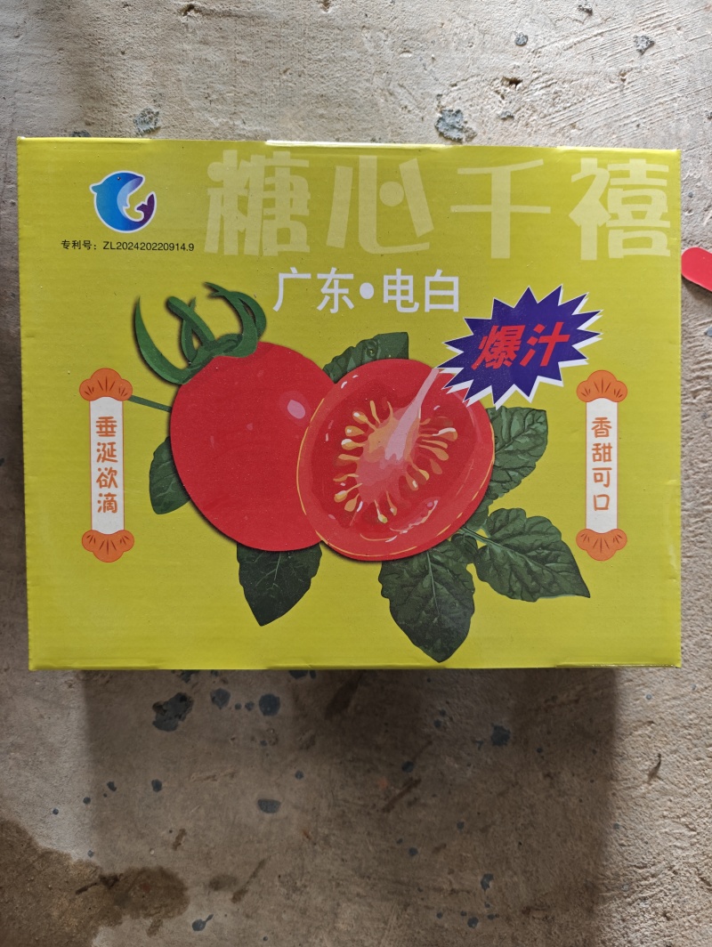 千禧圣女果产地直发货源充足可对接商超市场电商