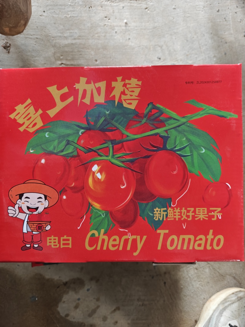 千禧圣女果产地直发货源充足可对接商超市场电商