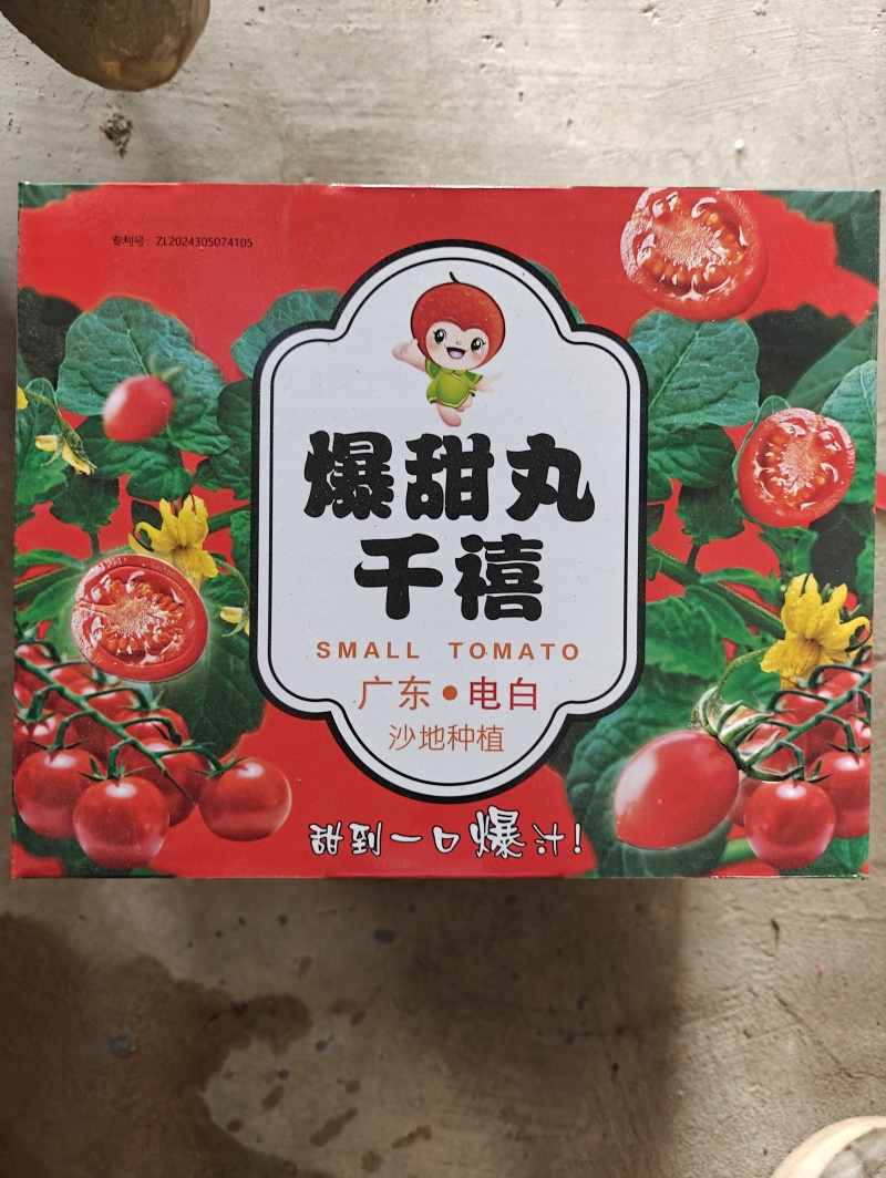 千禧圣女果产地直发货源充足可对接商超市场电商