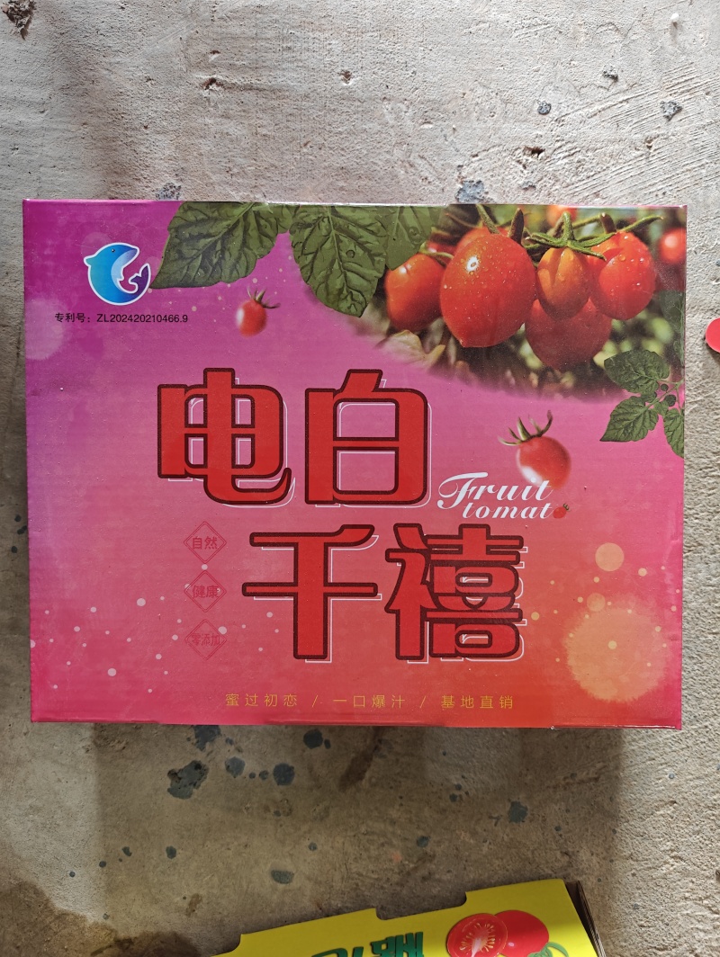 千禧圣女果产地直发货源充足可对接商超市场电商