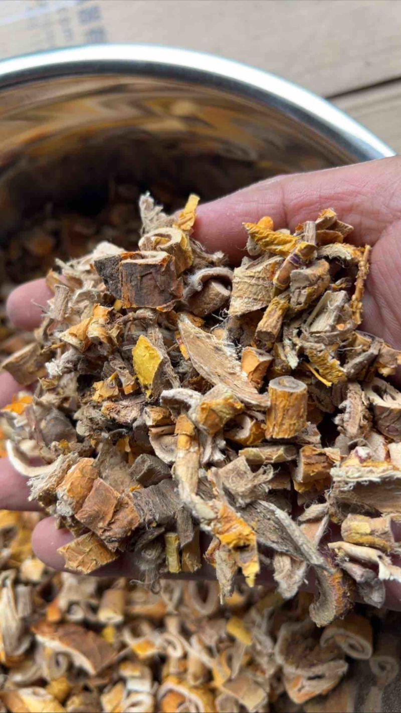 优质桑白皮中药材各种中药材批发零售