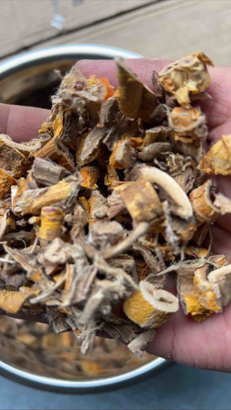 优质桑白皮中药材各种中药材批发零售