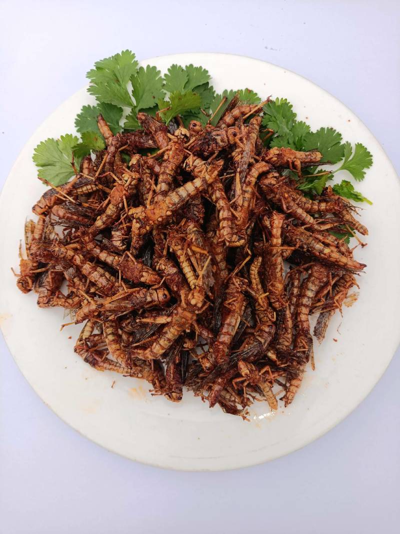 香酥蚂蚱，一罐蚂蚱一盘菜，五香，孜然，藤椒，香辣，麻辣