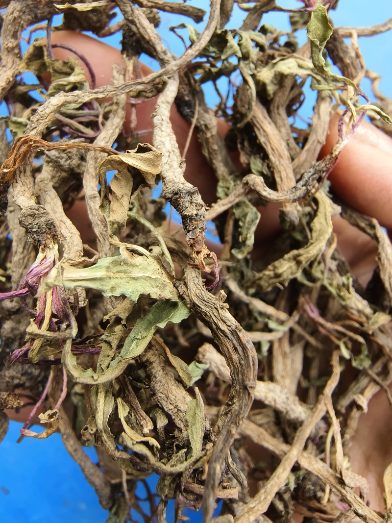 散装蒲公英根，当年新货，自然晒干，颜色靓，500克的价位