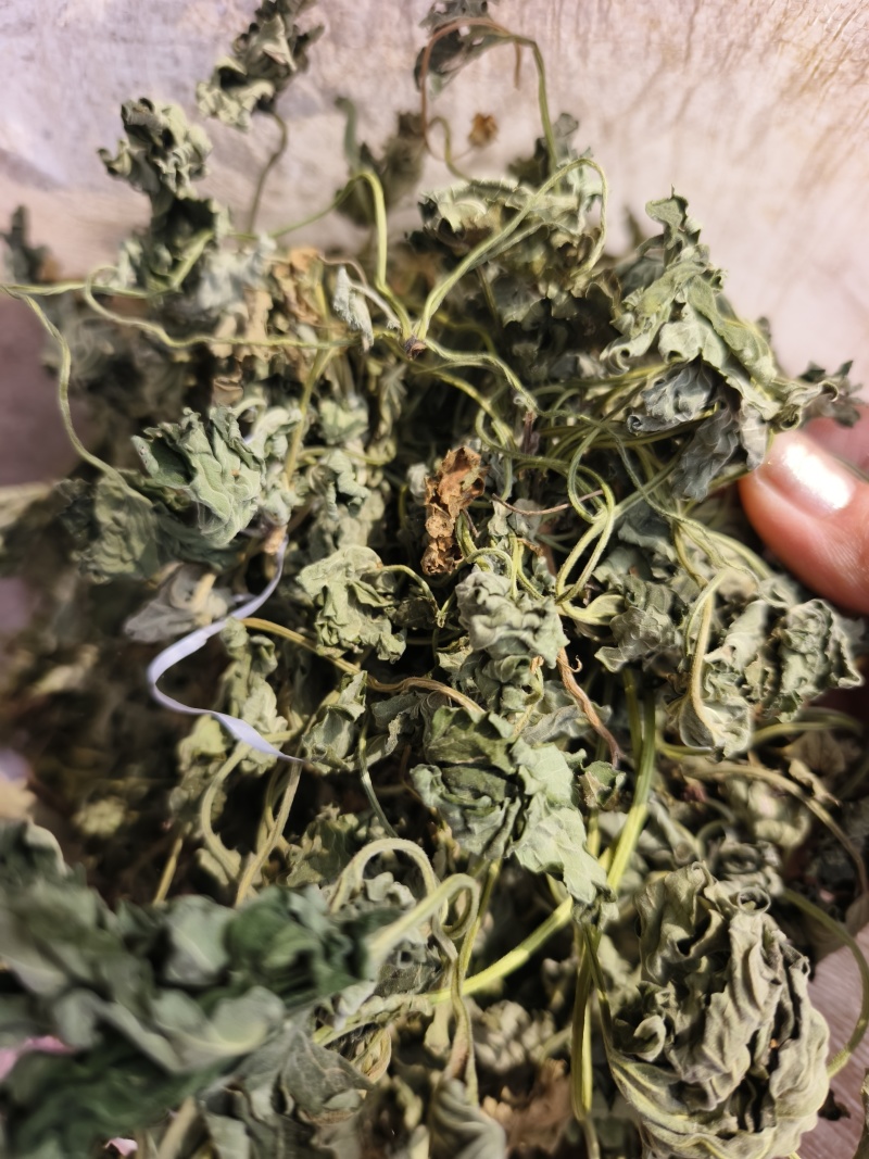 童子益母草整株，自然晒干，当年新货，人工挑选欢迎批发零售