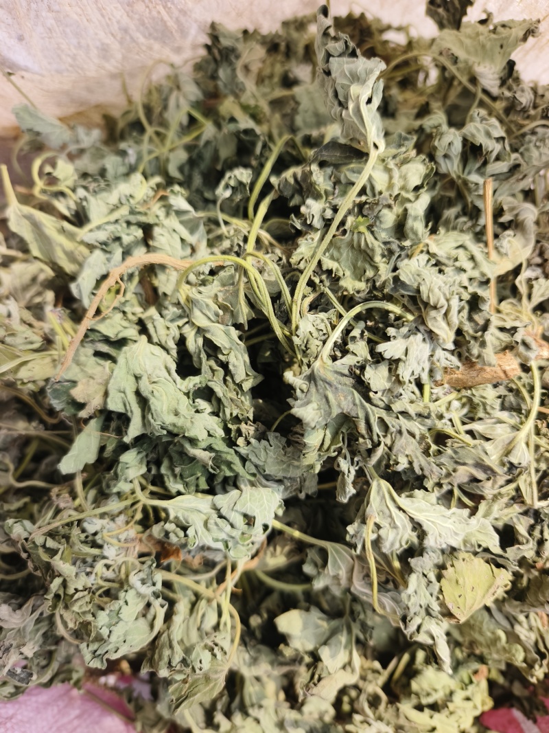 童子益母草整株，自然晒干，当年新货，人工挑选欢迎批发零售