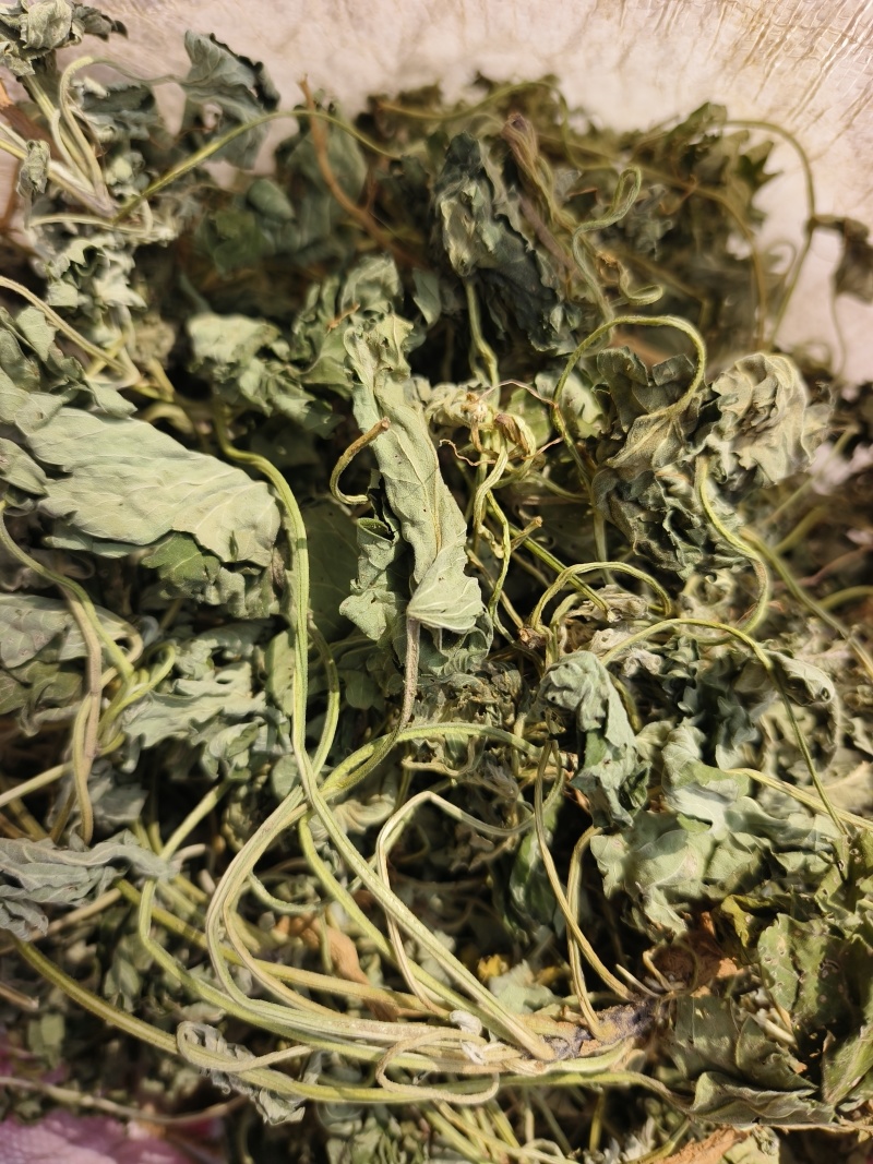童子益母草整株，自然晒干，当年新货，人工挑选欢迎批发零售