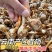 产地直销新鲜慈菇中号茨菇全国可发货欢迎咨询