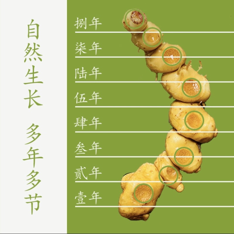 九制黄精茶包纯野生黄精茶小段子九蒸九晒农户直销