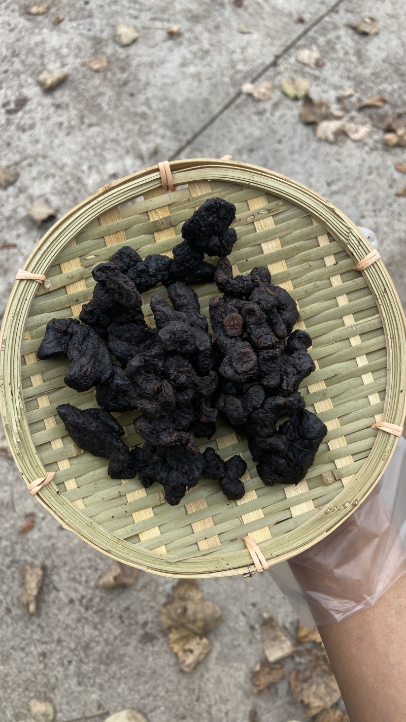 九制黄精茶包纯野生黄精茶小段子九蒸九晒农户直销