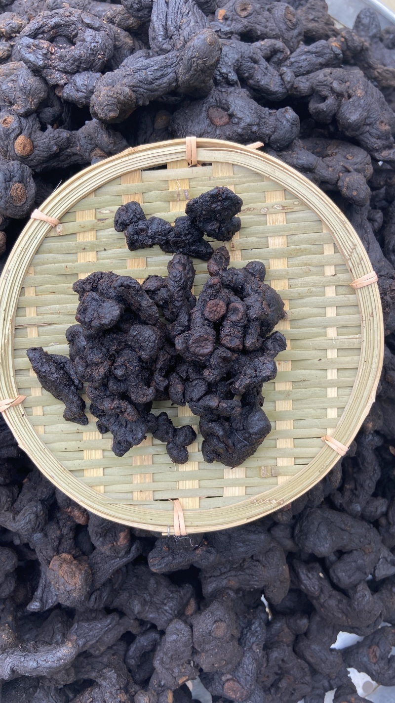 九制黄精茶包纯野生黄精茶小段子九蒸九晒农户直销