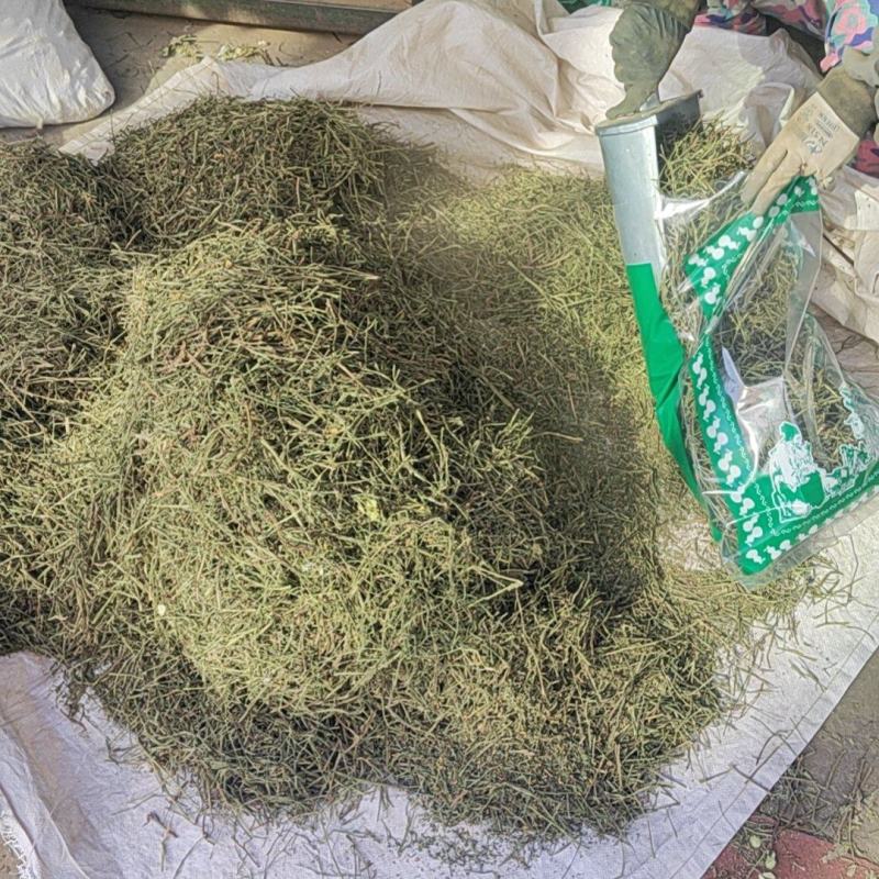 巴夏嘎干货切段巴夏嘎常年经营各种中药材！欢选迎购！