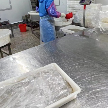 糠虾，海马鱼苗专用饲料