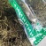巴夏嘎干货切段巴夏嘎常年经营各种中药材！欢选迎购！