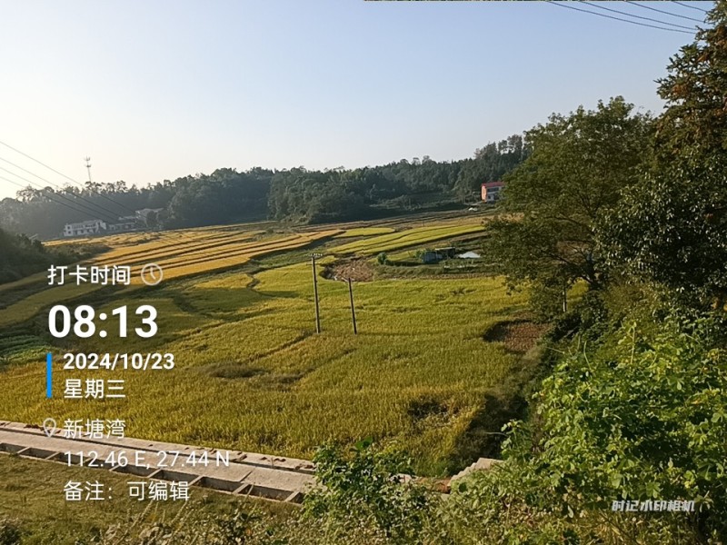 晚稻优质大米，只卖稻谷