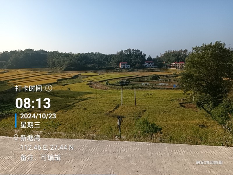 晚稻优质大米，只卖稻谷