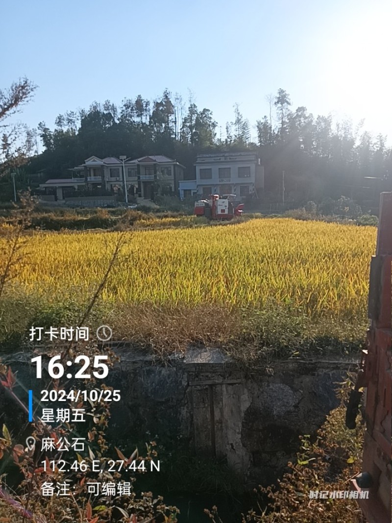 晚稻优质大米，只卖稻谷