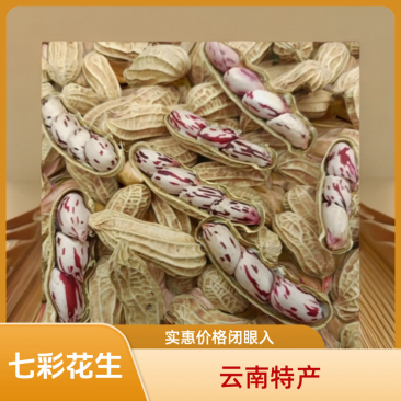 缅甸七彩花生带壳人工筛选量大从优欢迎来电咨询