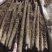 安平县小白嘴山药铁棍山药产地直销自厂自销双棒山药