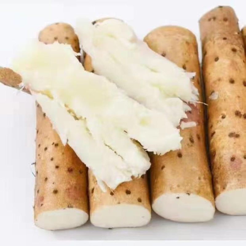 安平县小白嘴山药铁棍山药产地直销自厂自销双棒山药