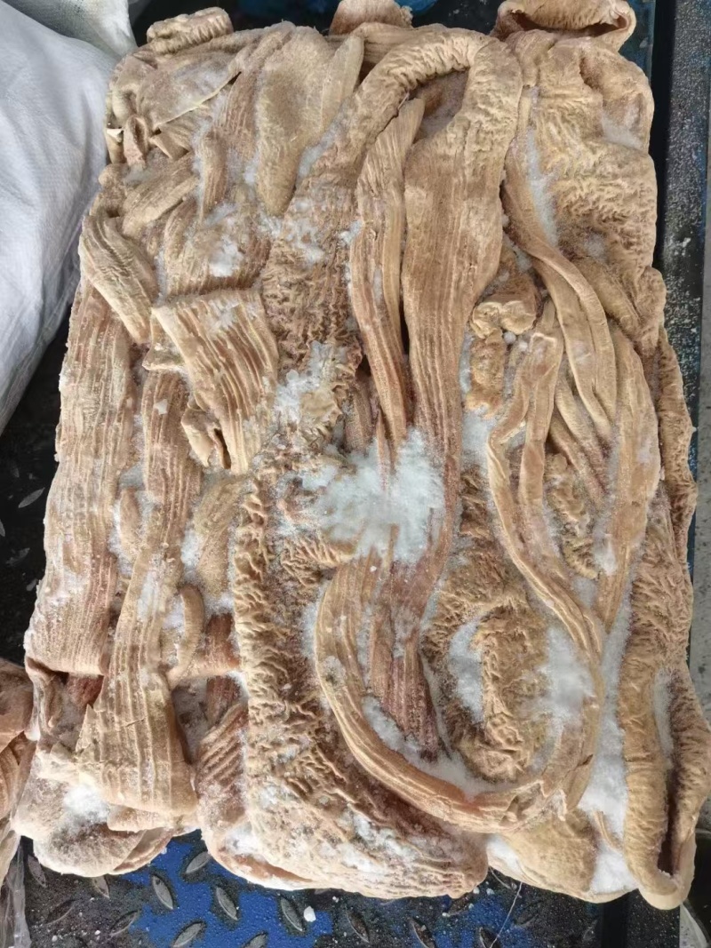 牛大肠