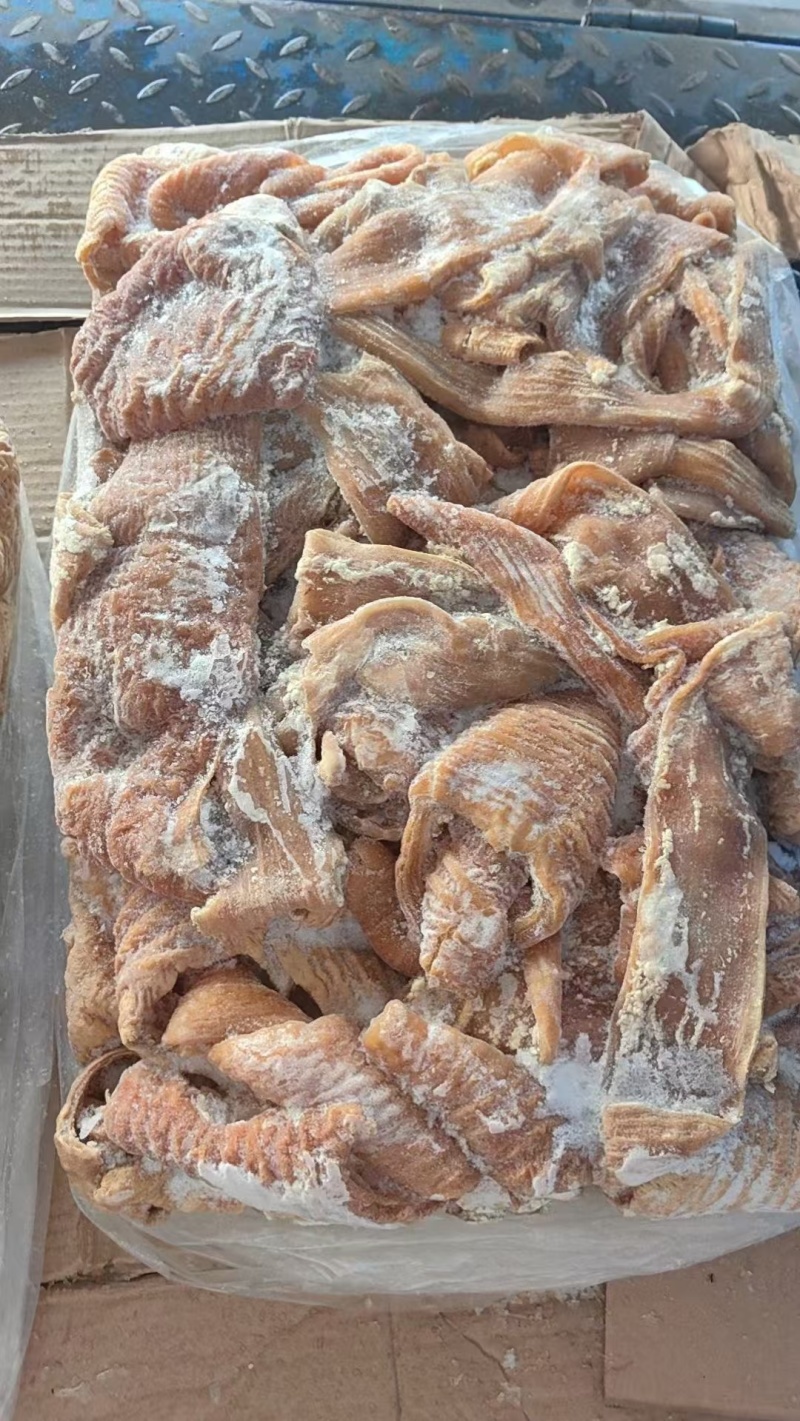 牛大肠