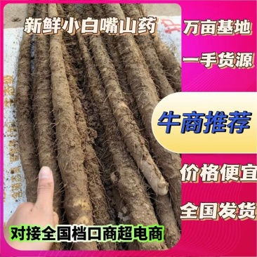 安平县小白嘴山药铁棍山药产地直销自厂自销双棒山药