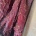 五香麻辣里脊肉早市展会庙会集市地摊品质保障支持全国发货
