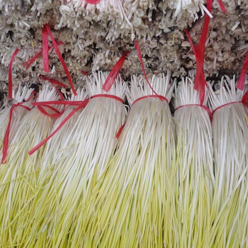 白菜价，蒜黄大量上市，适合各大市场，超市，电商平台
