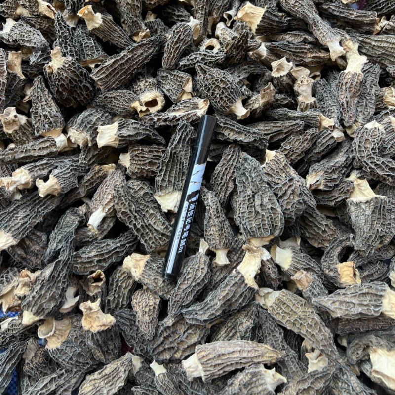 下架羊肚菌干货5-7