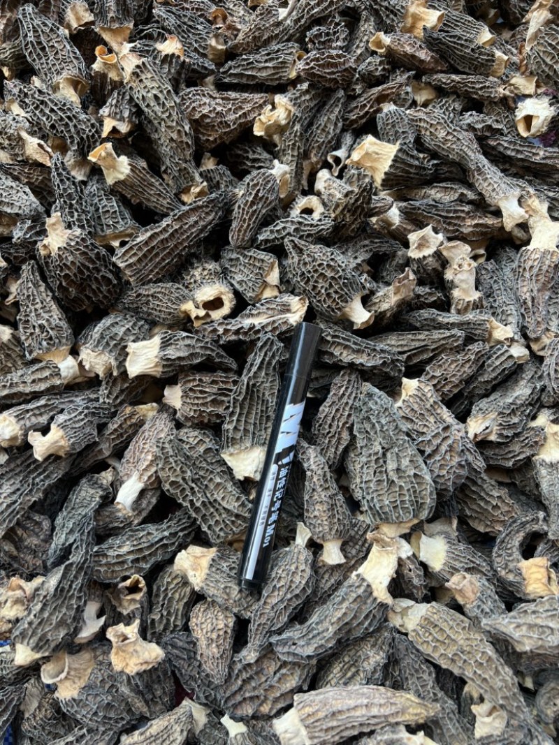 下架羊肚菌干货5-7