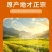 精品大米黑龙江五常大米量大从优质量保证欢迎咨询下单