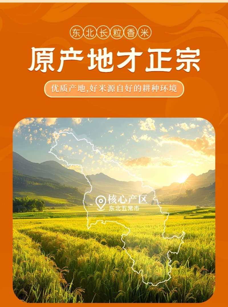 精品大米黑龙江五常大米量大从优质量保证欢迎咨询下单