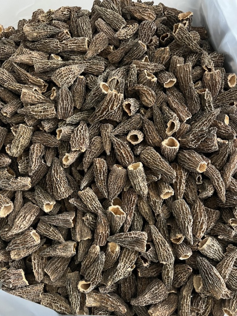 下架羊肚菌6枚光帽5-8