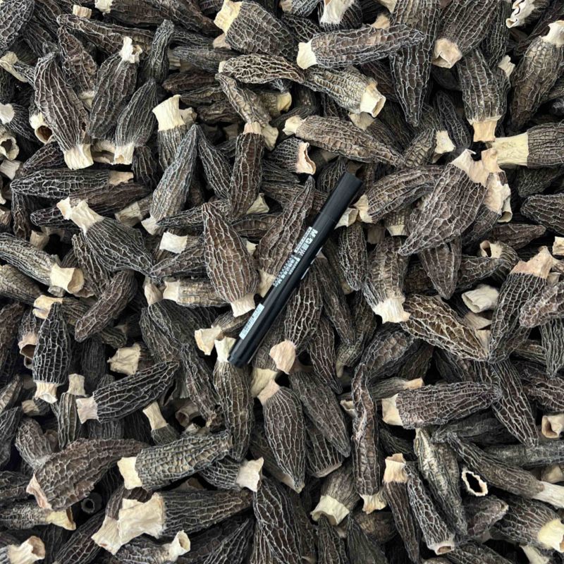 下架羊肚菌干货6-9