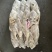 B级马面鱼300/500200/300500/70