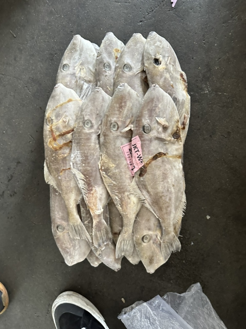 B级马面鱼300/500200/300500/70