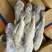 B级马面鱼300/500200/300500/70