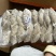 B级马面鱼300/500200/300500/70
