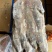 B级马面鱼300/500200/300500/70