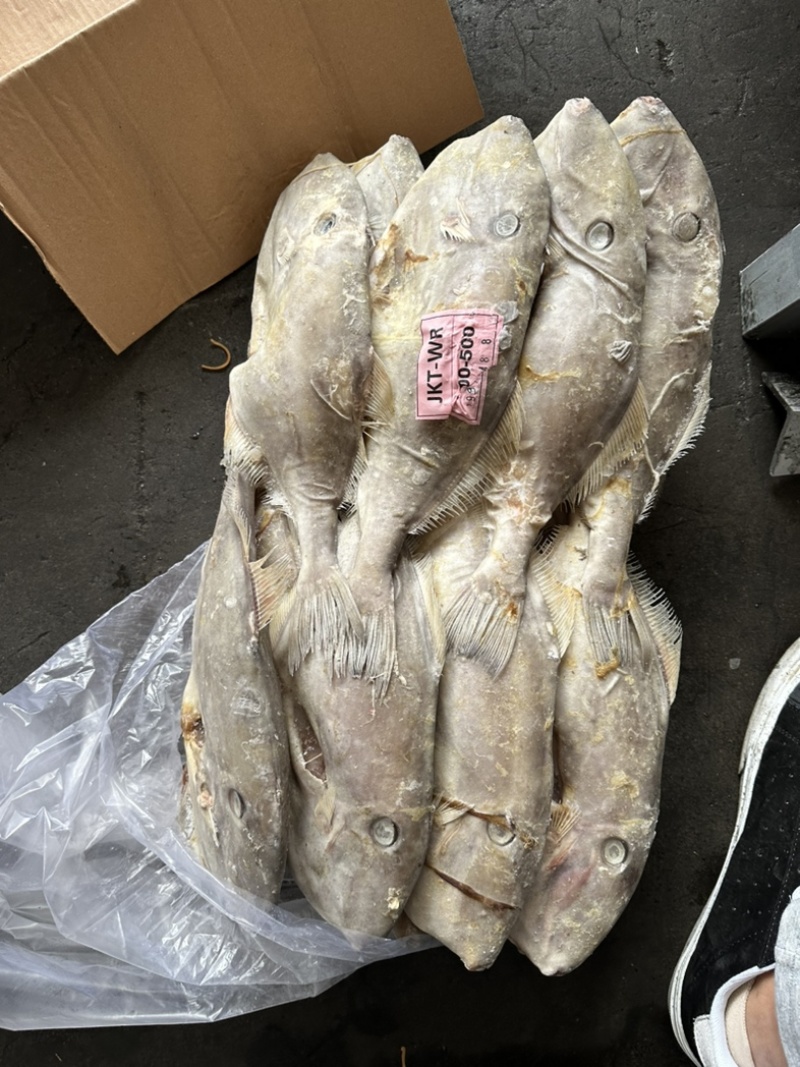 B级马面鱼300/500200/300500/70