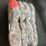 B级马面鱼300/500200/300500/70