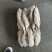 B级马面鱼300/500200/300500/70