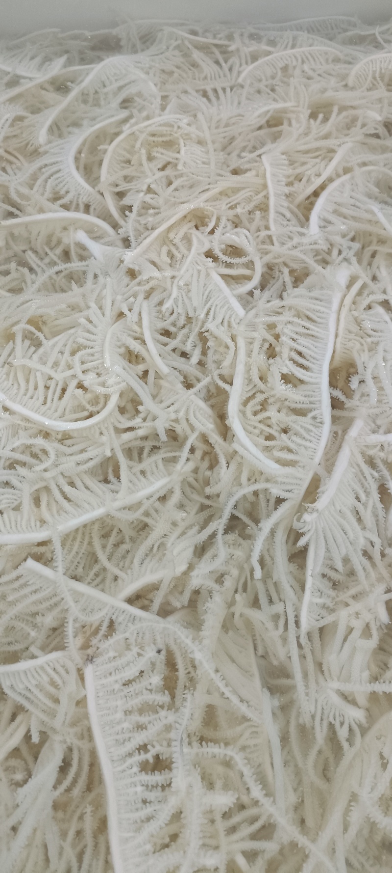 水煮百叶千层工厂直销可定制各种包装规格承接各渠道定制