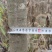 湖北恩施6年厚朴树，皮厚质细，油重，香气浓！