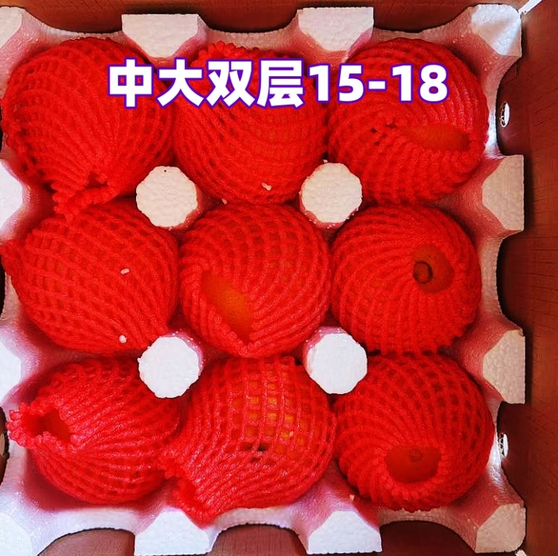四川爱媛38号果冻橙9斤装橙子新鲜当季水果
