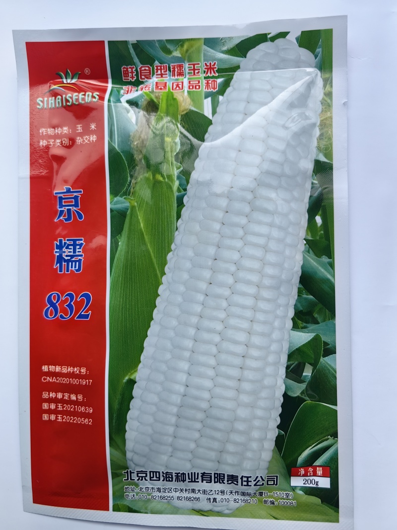京糯832糯玉米白甜糯大棒鲜食大穗高产软粘春夏秋播糯玉米